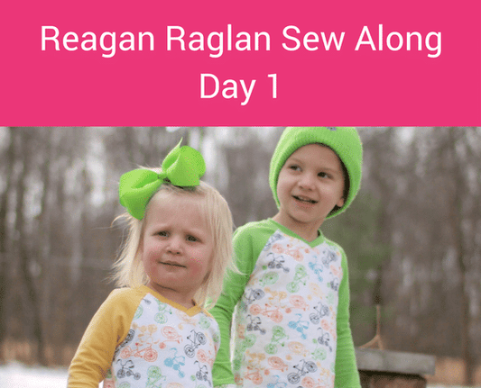 Reagan Raglan Sew Along ~ Day 1